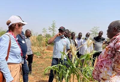 Best NGO Training Africa